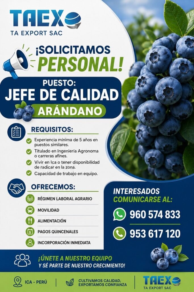 Jefe de Calidad para Arándanos en Ica, Perú