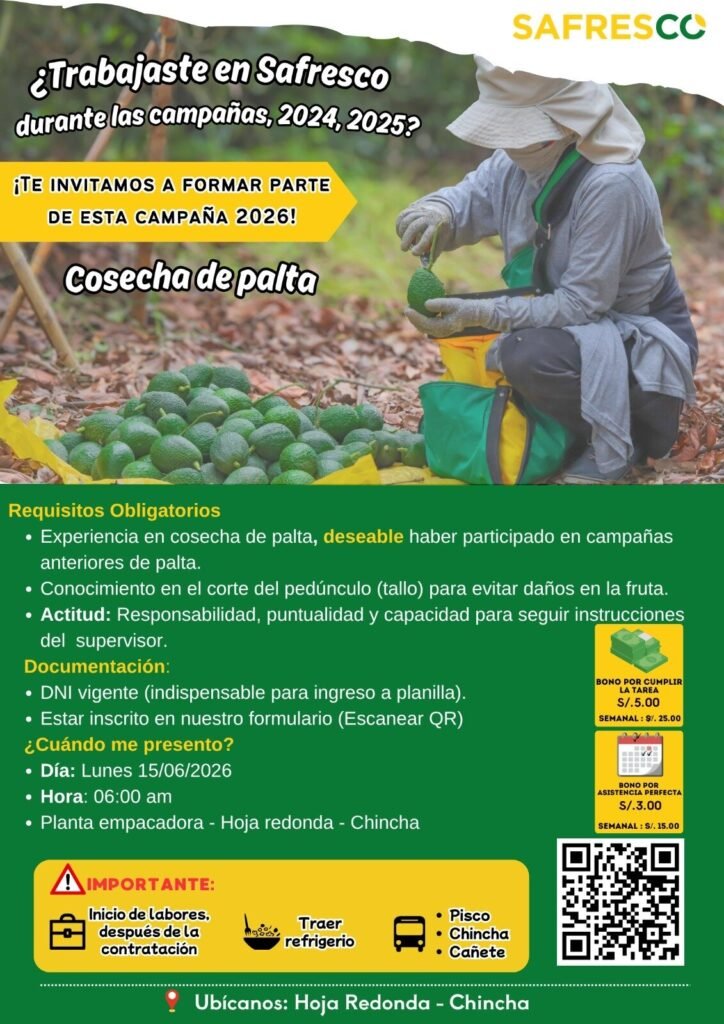 Convocatoria laboral en Safresco – Hoja Redonda, Chincha - Imagen 3