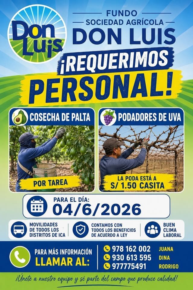 Personal para Cosecha de Palta y Poda de Uvas en Ica