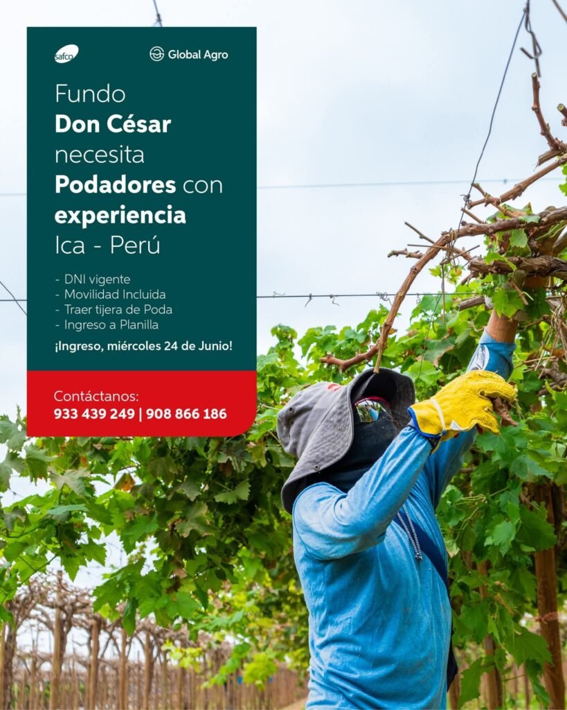 Podadores con Experiencia en Fundo Don César, Ica
