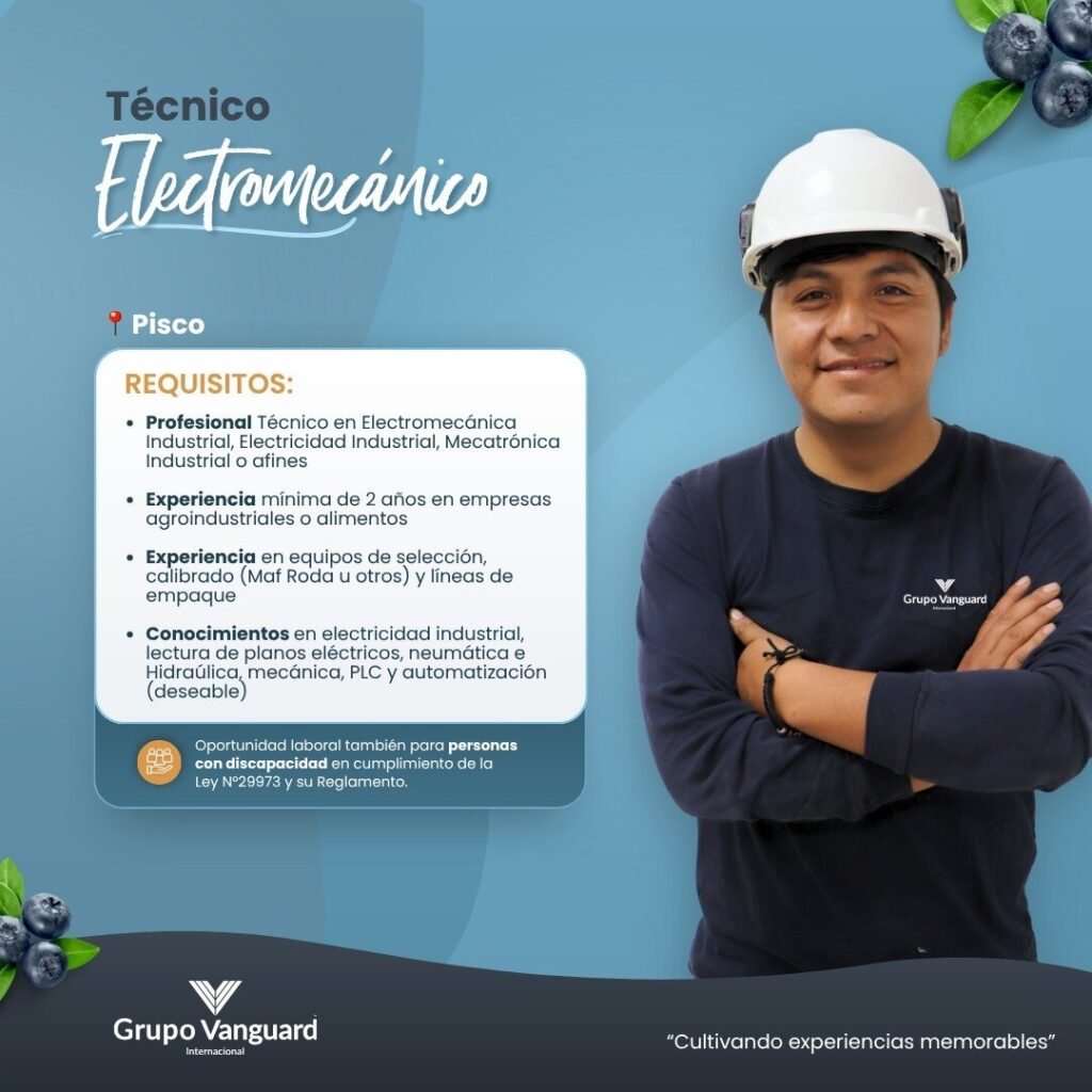 Técnico Electromecánico y mecánico para Vanguard - Imagen 2