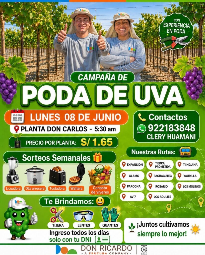 Personal para Poda de Uva en Planta Don Carlos y Fundo santa rosa, Ica