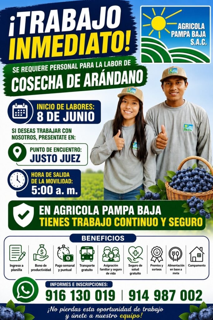 Oportunidad laboral inmediata – Agrícola Pampa Baja S.A.C.