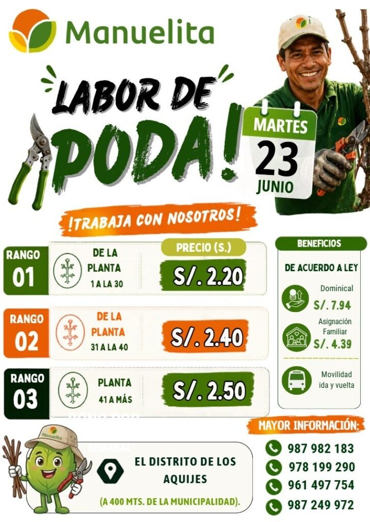 Poda de uva en manuelita fy h Los Aquijes –