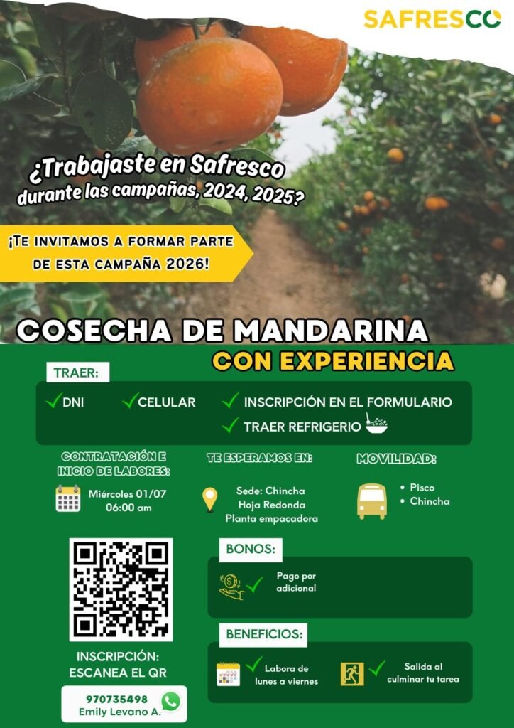 Trabajadores para Cosecha de Mandarina en Chincha 2026