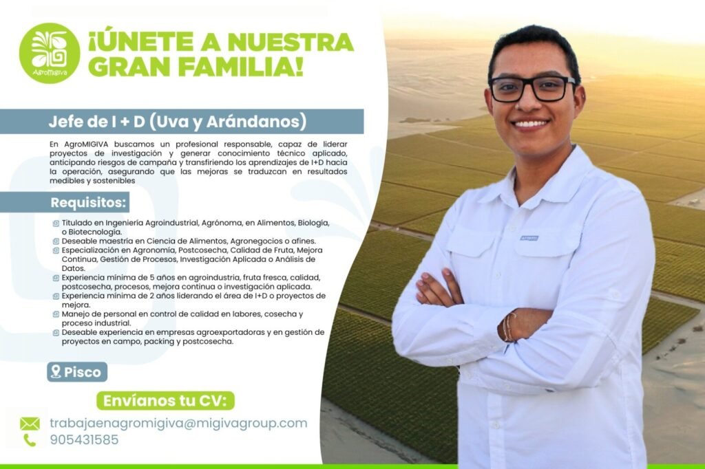 AgroMIGIVA busca nuevos talentos - Imagen 4