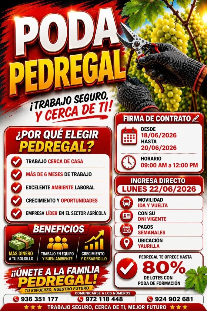 Puestos de Poda para Campaña de poda en Pedregal Ica 2026 en Yaurilla