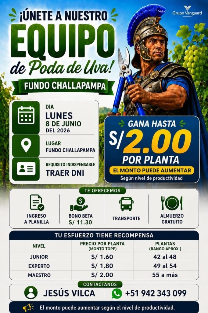 Poda de Uva en Fundo Challapampa, Ica – Vanguard