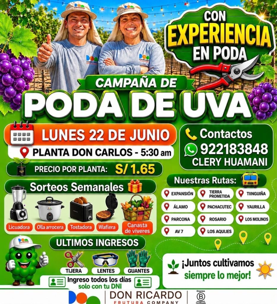 Trabajadores para Poda de Uva en Planta Don Carlos, Ica