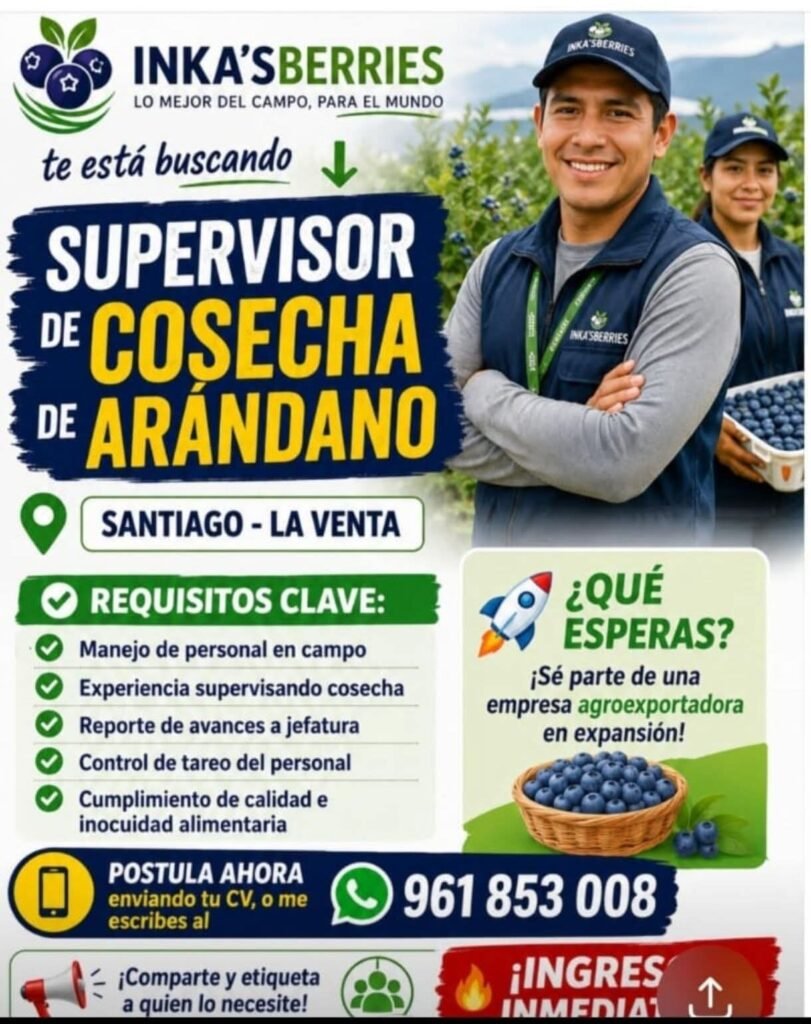 Supervisor de Cosecha de Arándano en Ica
