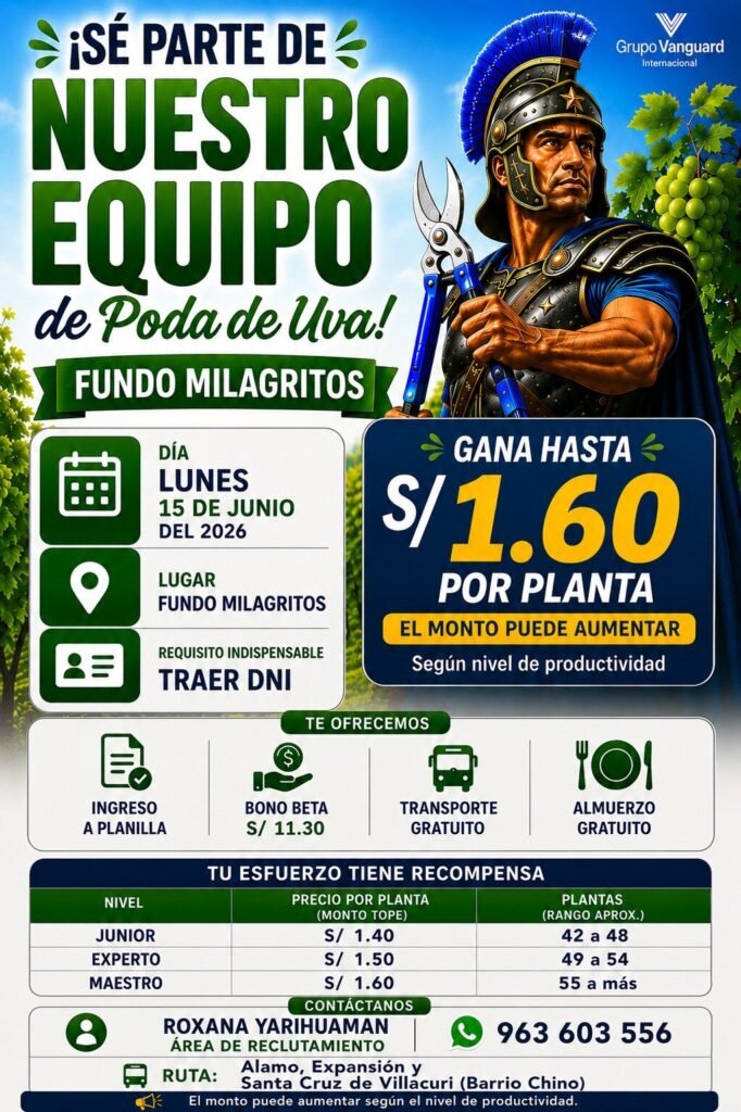 Poda de Uva en Fundo Milagritos, Vanguard