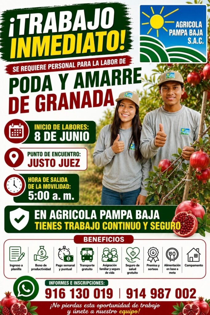 Oportunidad laboral inmediata – Agrícola Pampa Baja S.A.C. - Imagen 3
