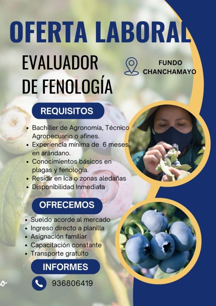 Evaluador de Fenología para Arándanos en Salas, Guadalupe