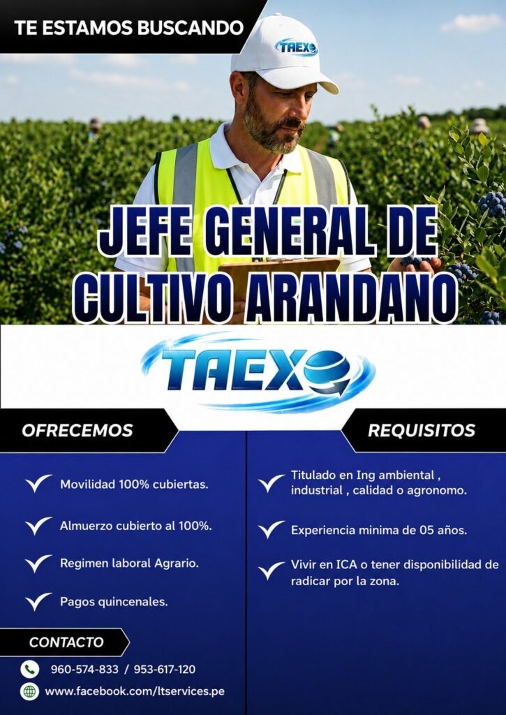 Jefe General de Cultivo de Arándano en Ica para TAEX
