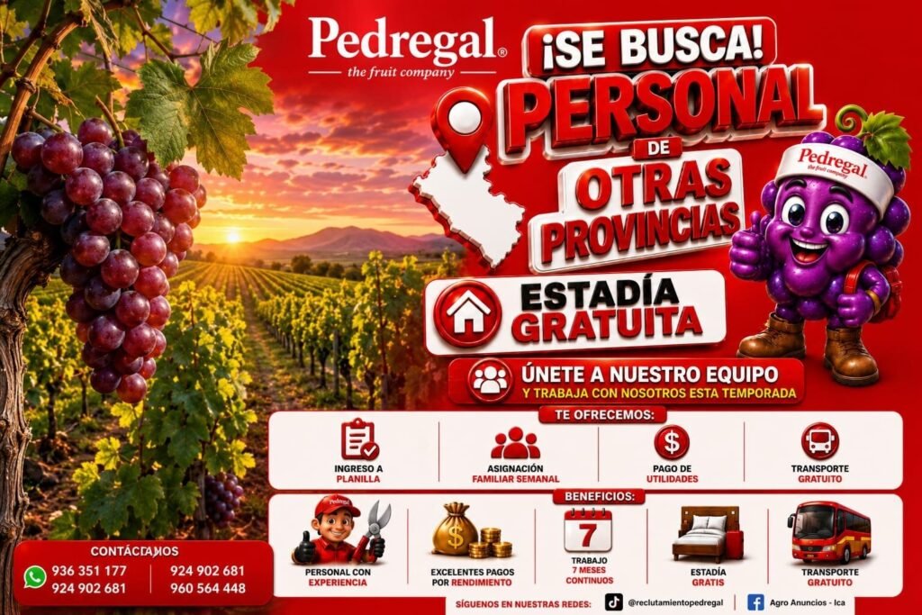 La Campaña de Labores en Pedregal Ica 2026 está por comenzar!