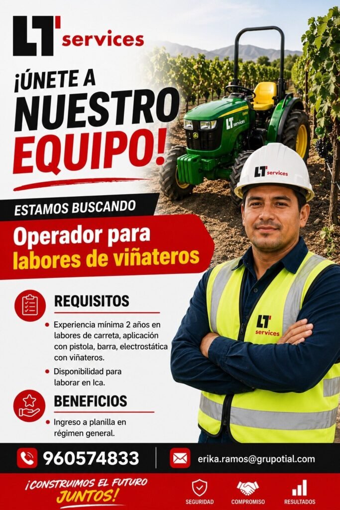 ¡Únete a LT Services! - Hay más trabajo aquí - Imagen 2