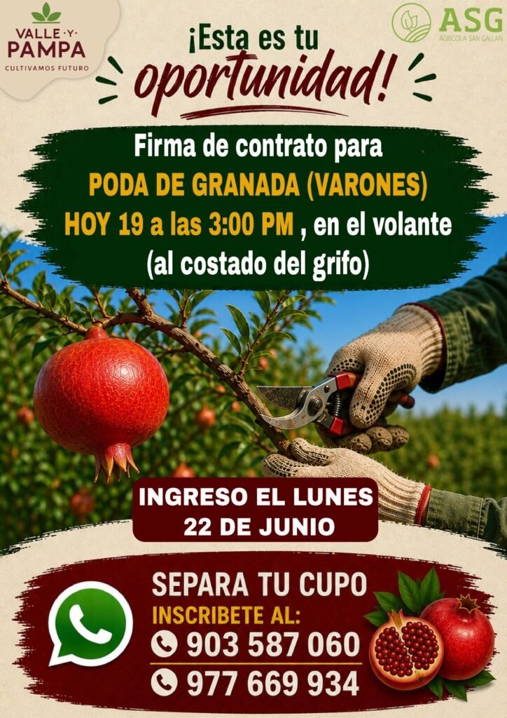 Poda de Granada para family farms en Pisco