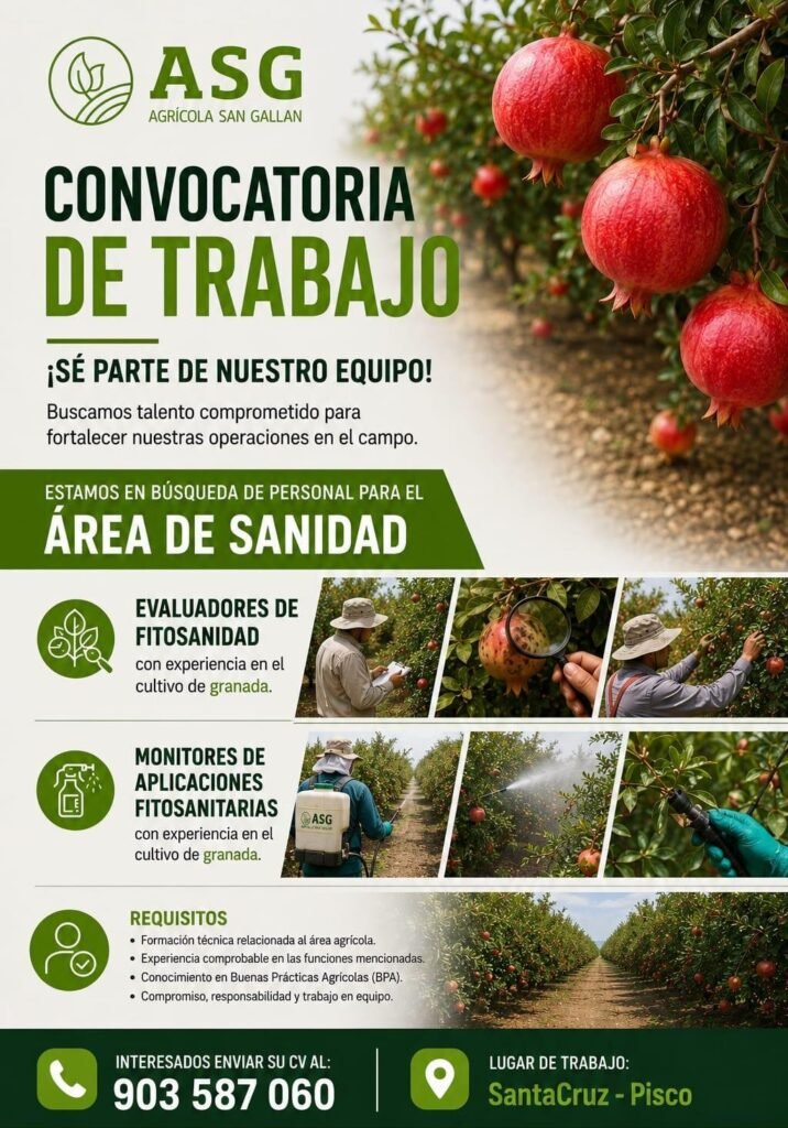 Evaluadores de Fitosanidad en Agrícola San Gallan, Pisco