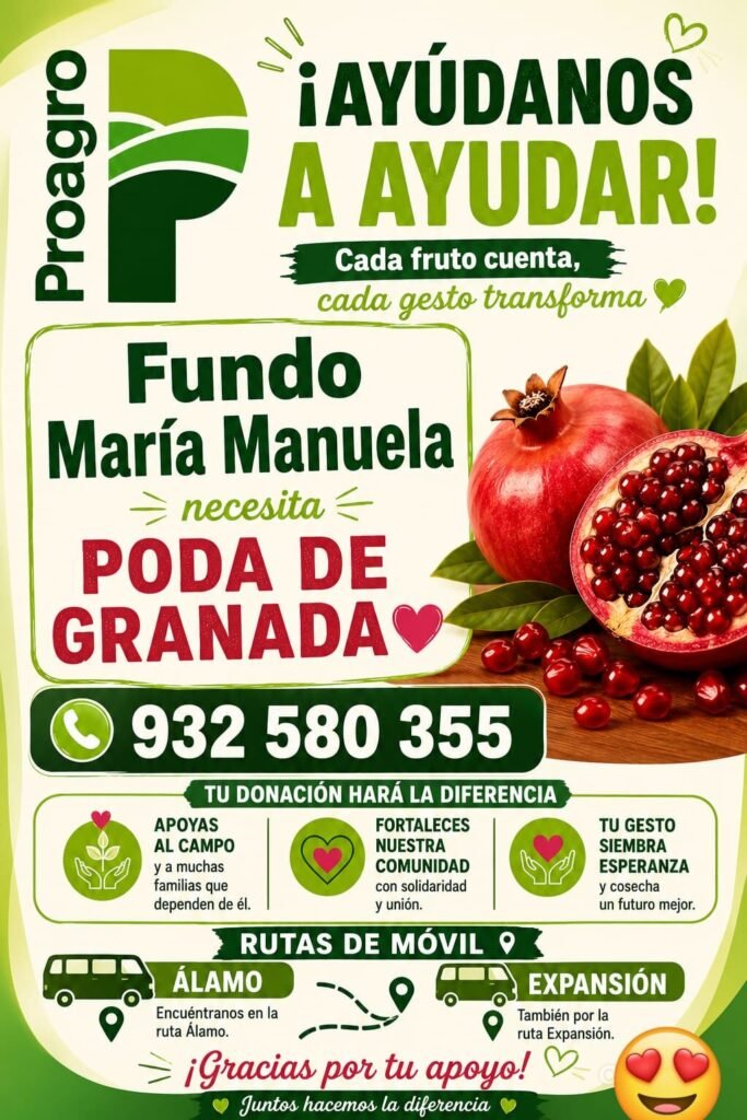 Poda de Granada en Fundo María Manuela, Proagro