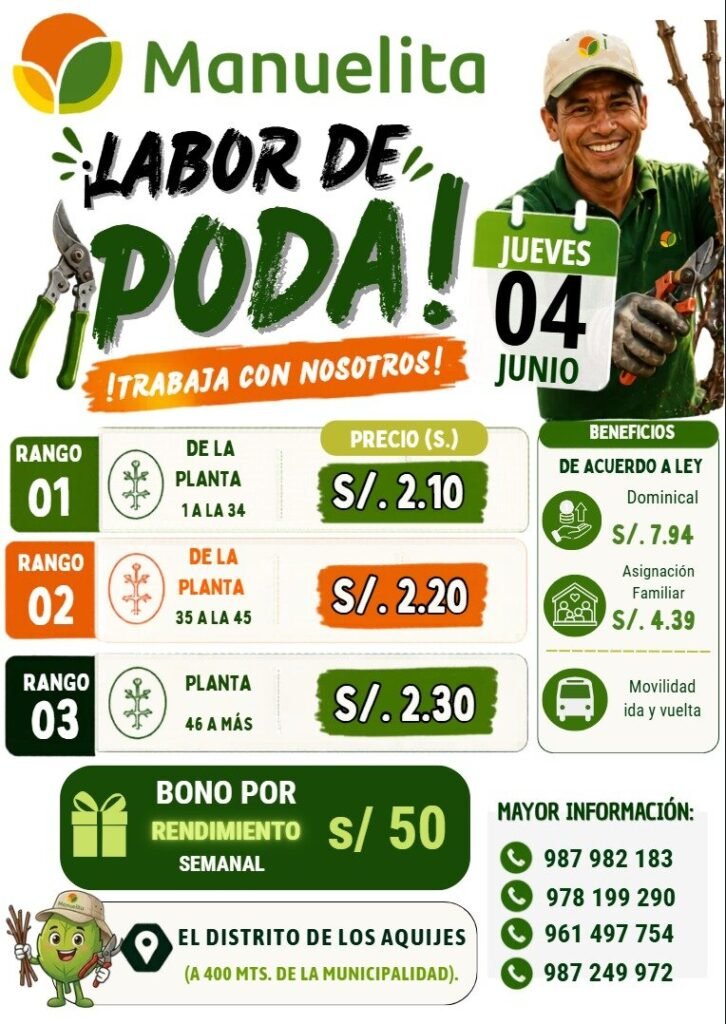 Trabajadores para Labores de Poda en Los Aquijes
