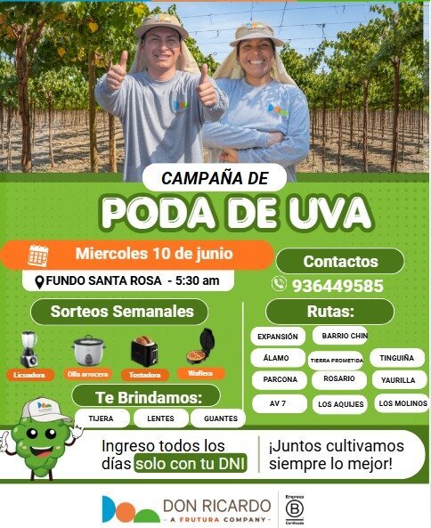 Campaña de poda de uva – Don Ricardo - Imagen 2
