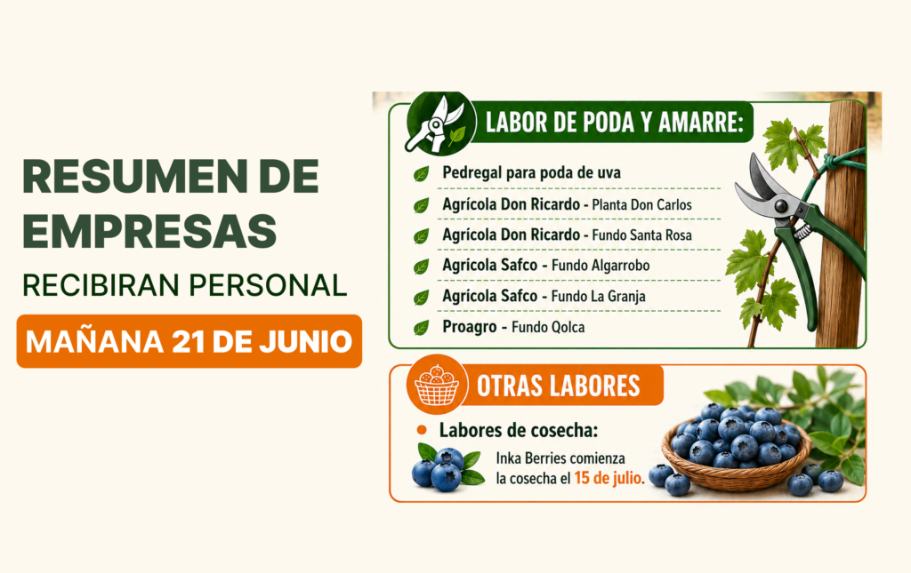 Resumen de empresas que recibirán personal mañana 21 de junio
