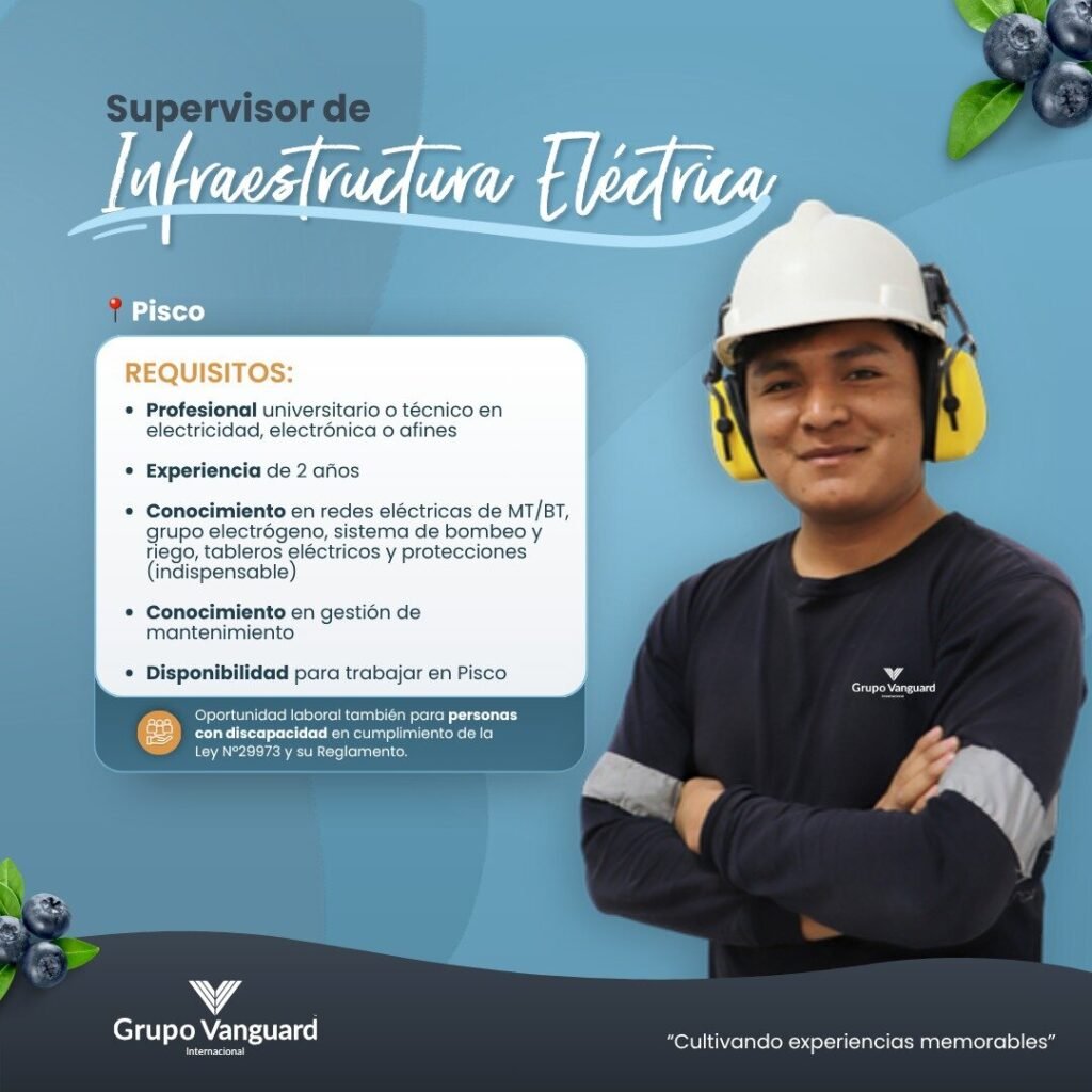 Supervisor de Infraestructura Eléctrica para Vanguard Pisco