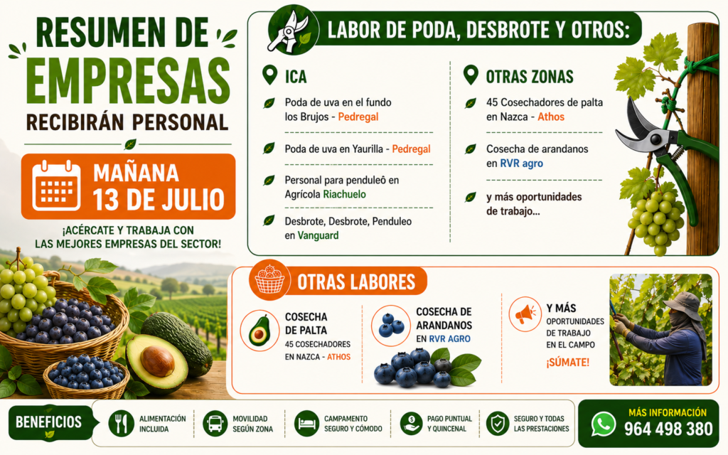 Resumen de empresas que recibirán personal mañana 20 de julio - Imagen 2
