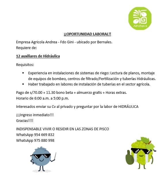 12 auxiliares de Hidráulica en Agricola Migiva