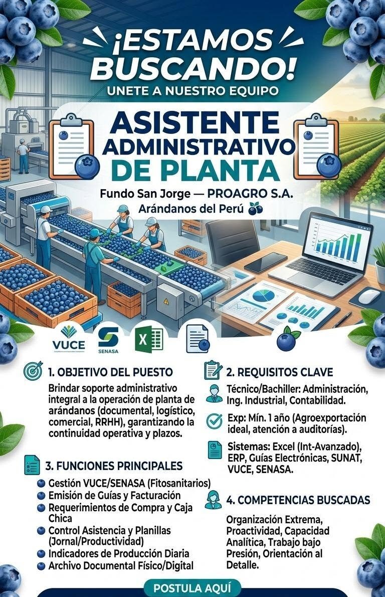 Asistente Administrativo de Planta – Fundo San Jorge (PROAGRO S.A.)