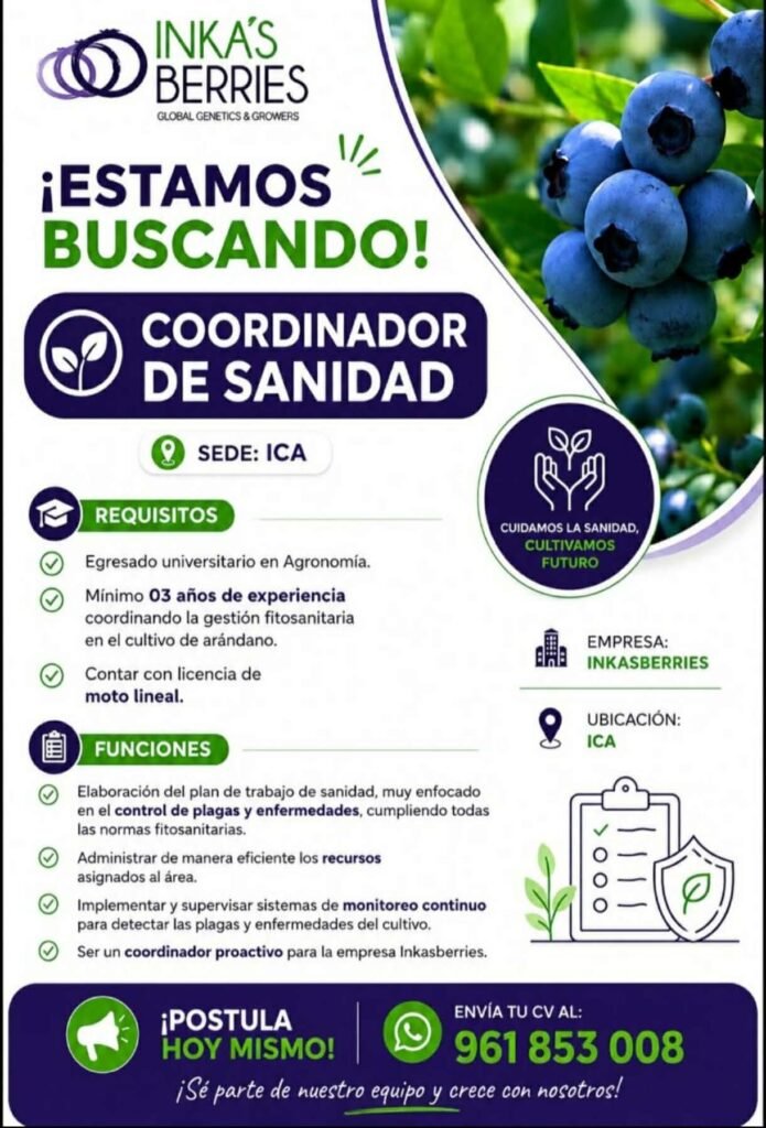 Coordinador de Sanidad para nuestra sede en Ica – Inka berries
