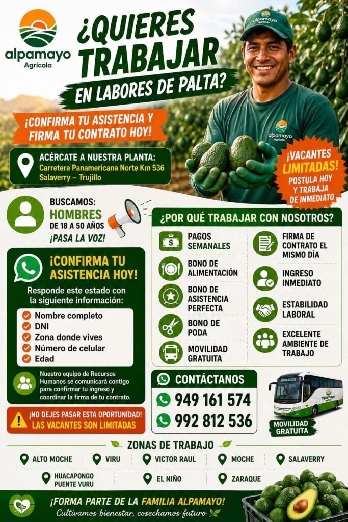 Oportunidades laborales en labores de palta en Alpamayo