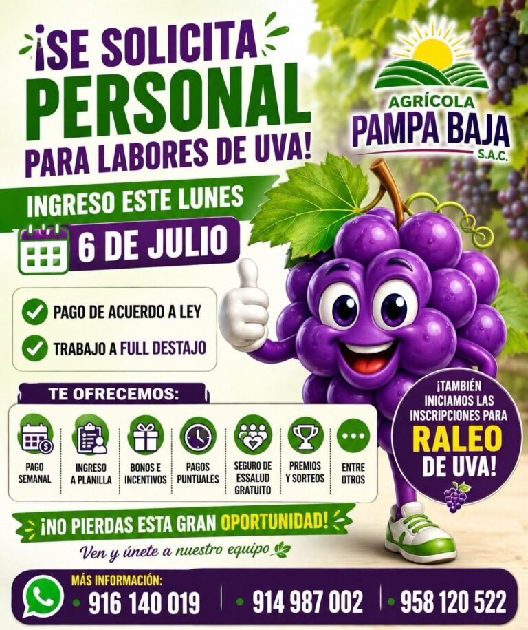 Se requiere personal para labores de uva en Agricola Pampa Baja