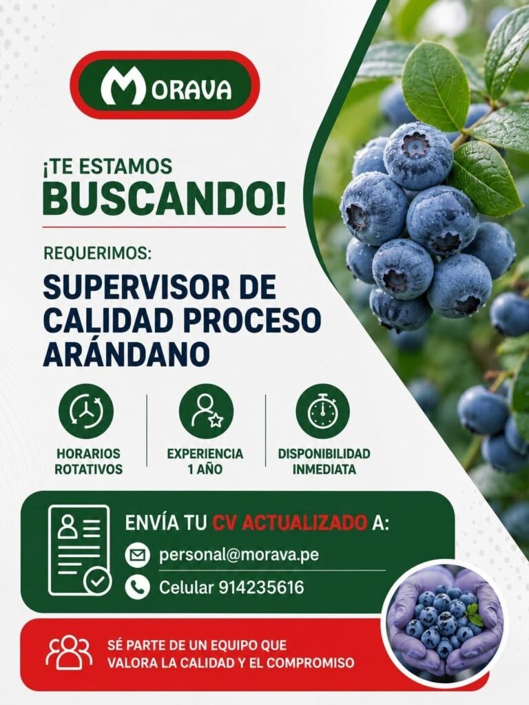 Supervisor de Calidad para el Proceso de Arándano en Trujillo – Morava