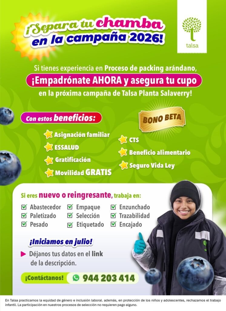 Asegura tu chamba en la campaña de cosecha de arandanos - Talsa Trujillo - Imagen 1