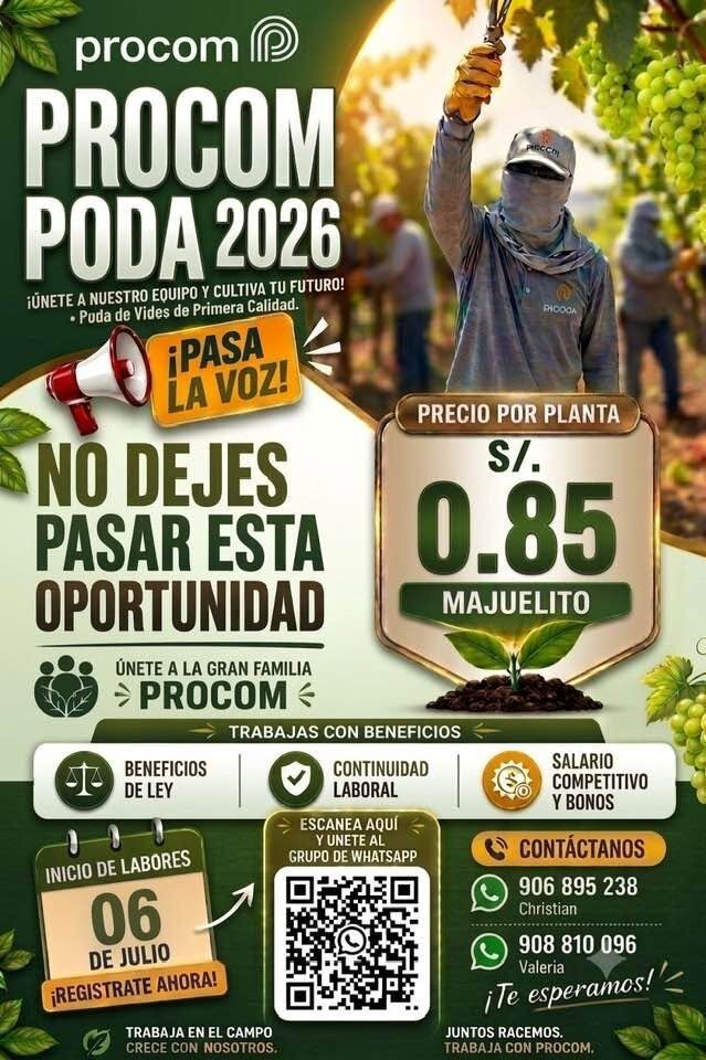 Poda de Uva en Agricola Procom - Lunes 6 de julio - Imagen 1