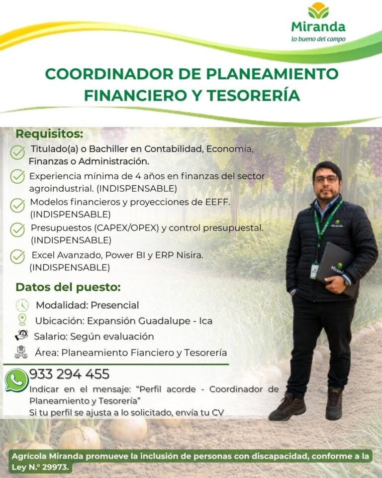 Coordinador de Planeamiento Financiero y Tesorería en agricola Miranda