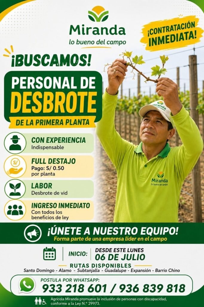 Se requiere personal para desbrote en Cultivos de uva en Agricola Miranda - Imagen 1