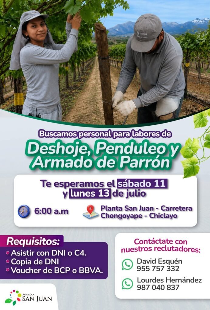 Buscamos personal para labores de deshoje, penduleo y armado de parron - Imagen 1