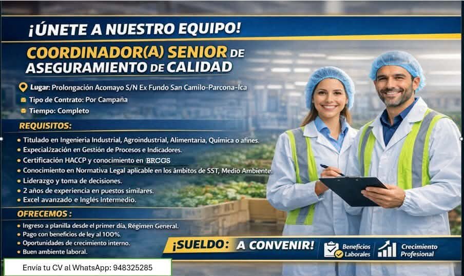 Coordinador(a) Senior de Aseguramiento de Calidad – Procefrio