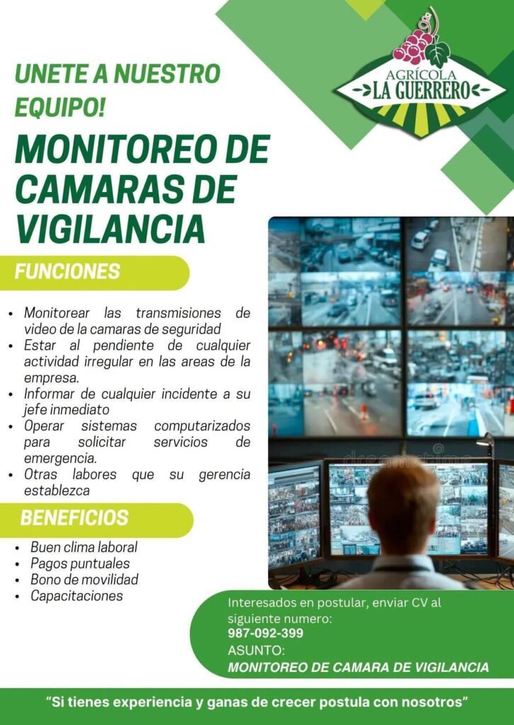 2 Personales para Monitoreo de Cámaras de Vigilancia - Imagen 1