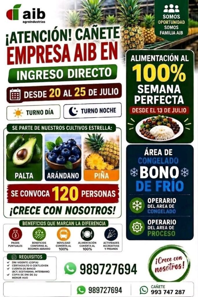 Se requiere personal para packing de palta en AIB – Chincha