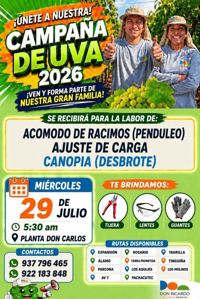 Acomodo de racimos, ajuste de carga y canopia