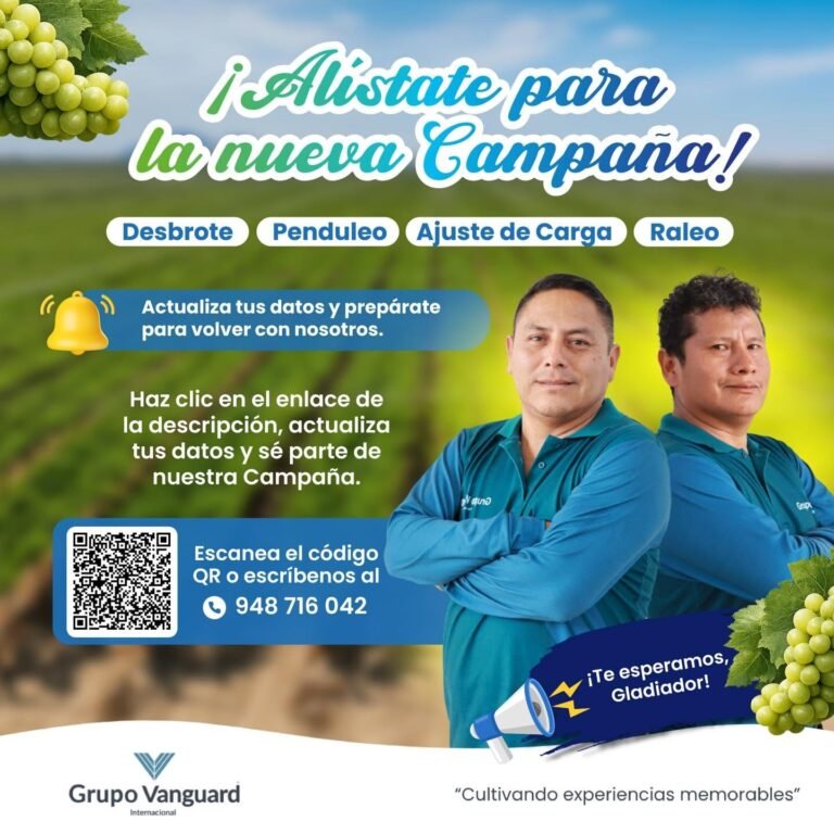 Desbrote, Penduleo, ajuste de carga y raleo en Grupo Vanguard