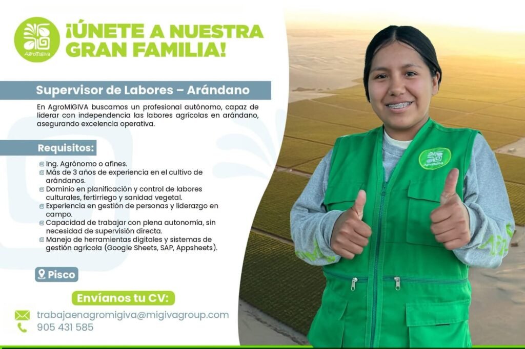 Supervisor de labores en Agromigiva – Pisco