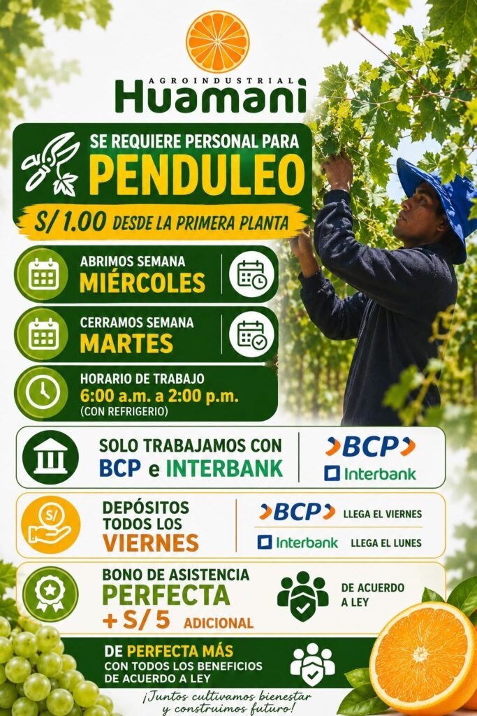 Se requiere personal para Penduleo en Agricola Huamani