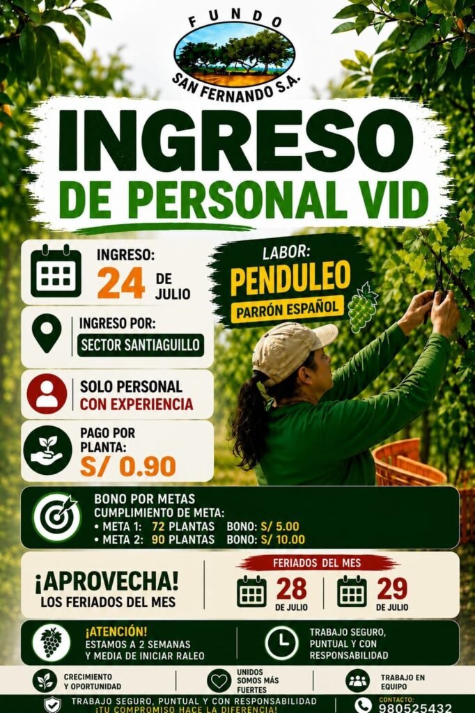 Fundo san fernando requiere personal para labores de Penduleo - Imagen 1