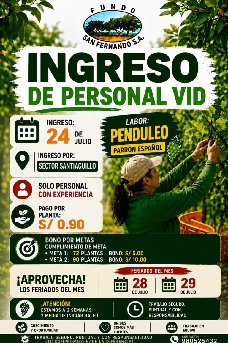 Fundo san fernando requiere personal para labores de Penduleo