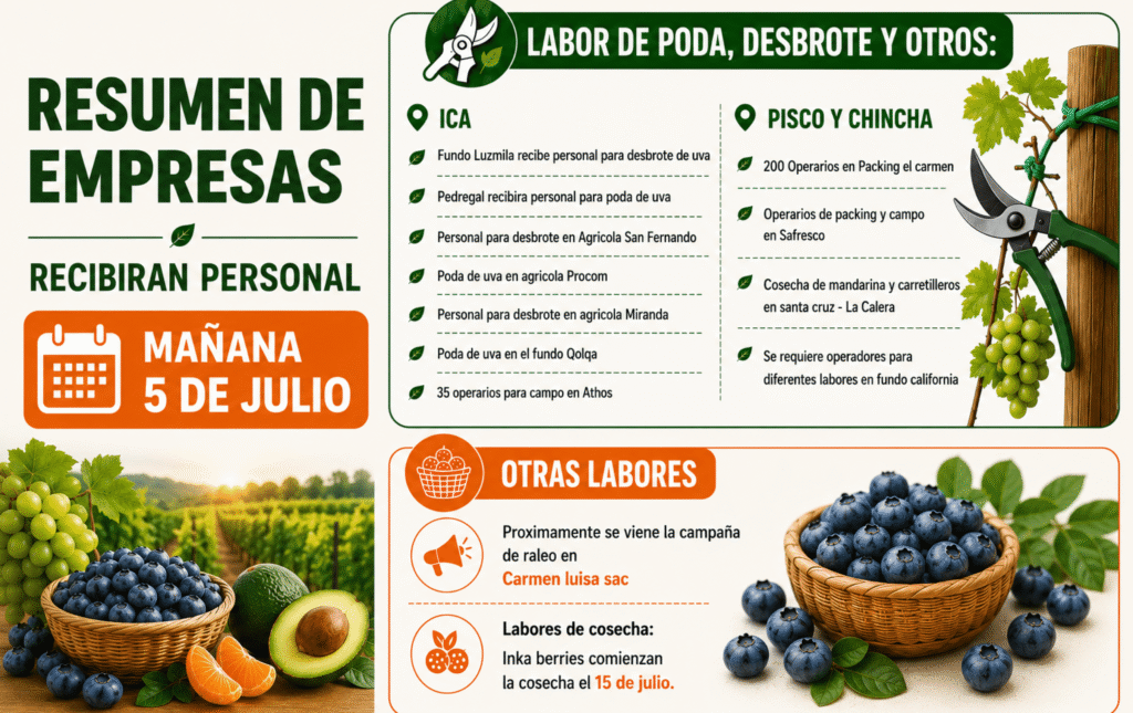 Resumen de empresas que recibirán personal mañana 29 de junio