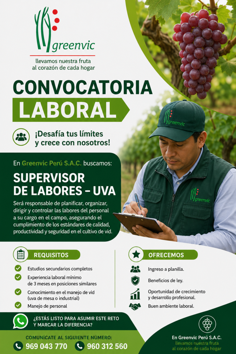SUPERVISORES DE LABORES